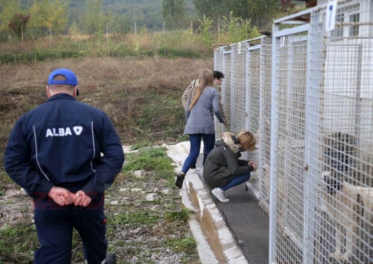 Tri godine rada zeničkog Azila za pse, najboljeg u regionu