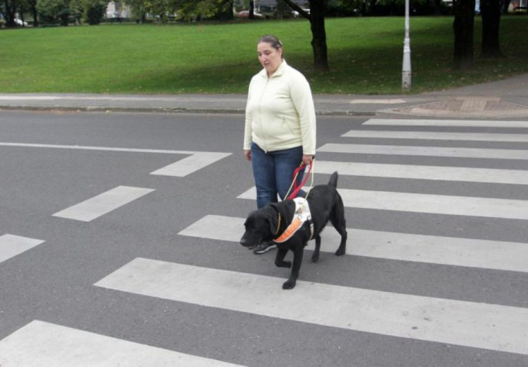 Uvjerite se još jednom zbog čega su psi naši najvjerniji prijatelji