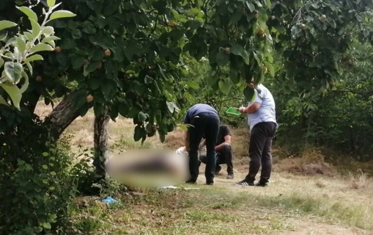 MUŠKARAC IZREŠETAN SA OSAM HITACA, ŽENA UPUCANA U GLAVU: Komšije strahuju za život, nije se čuo ni pucanj