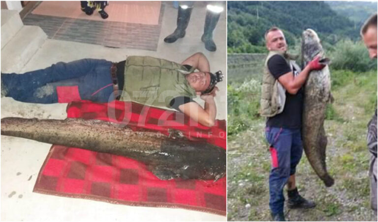 NEVJEROVATAN ULOV KOD BISTRIČAKA: Upecali soma dugog 190 cm (FOTO-VIDEO)