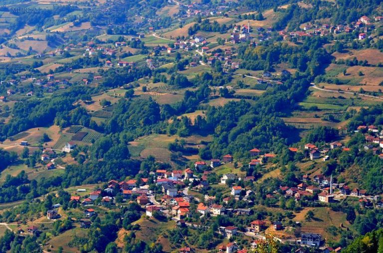 Željezno Polje: Selo koje na malinama zaradi 3 miliona KM godišnje