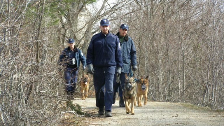 GP BiH: Prošle godine zaplijenjeno više od tone droge