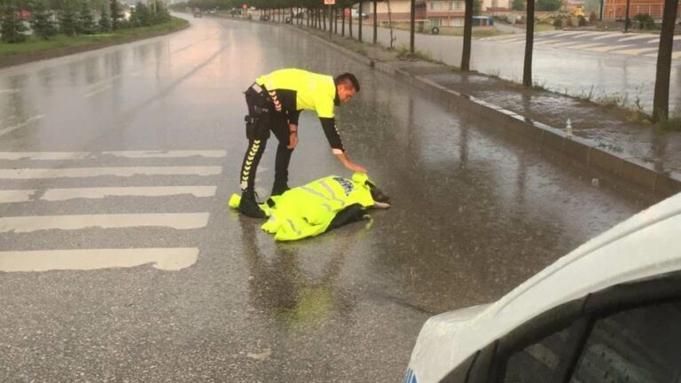 Policajac prekrio povrijeđenog psa da ne kisne