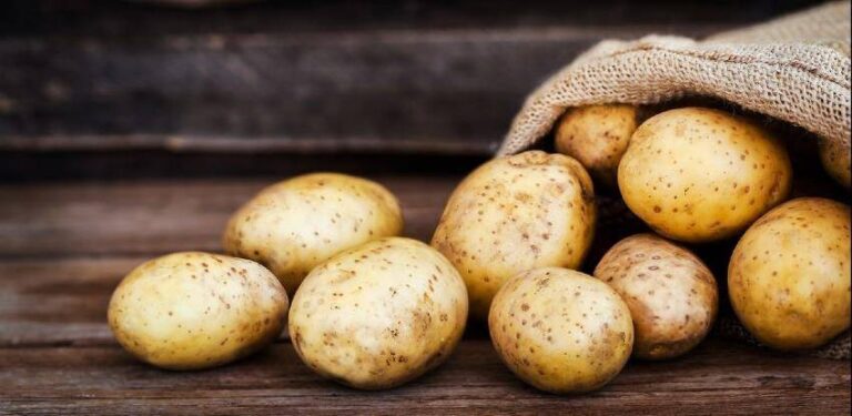 Zabranjen uvoz 27 tona krompira iz Egipta, pronašli bakteriju
