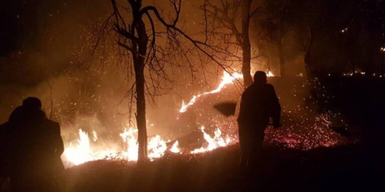 Ovog ljeta 20 odsto požara više, opožareno 12.000 hektara