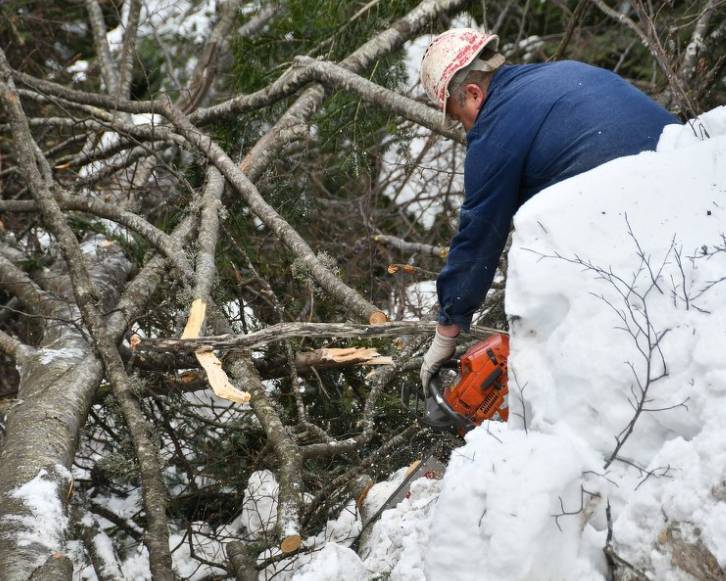 Kako izgleda posao radnika u šumarstvu: Najbogatiji resurs u BiH je u njihovim rukama