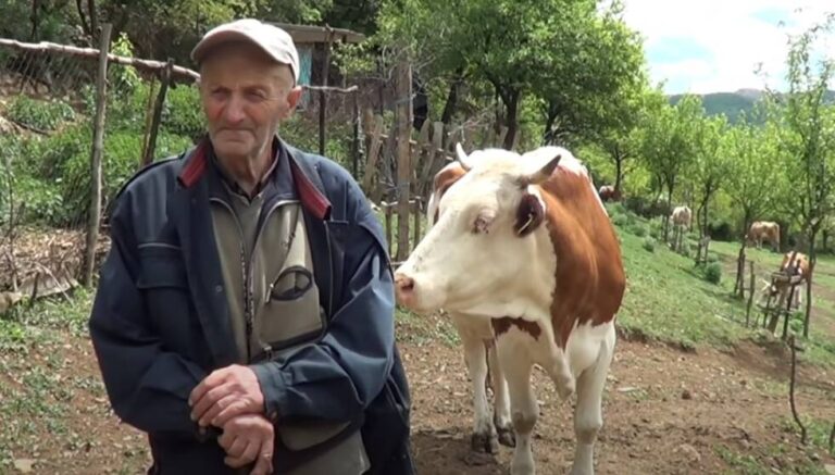 ZENIČANIN ASIM JE DOKAZ DA SE VRIJEDNIM RADOM MOŽE SVE: Krenuo od nule, a sada ima farmu