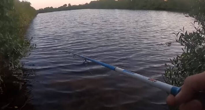 Snimao se kako peca, a onda je postao lovina