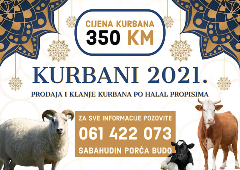 Prodaja i klanje kurbana po halal propisima – 350 KM