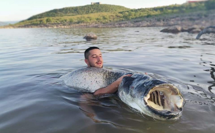 Marko ulovio soma od 60 kilograma: Vukao me 1.500 metara, borili smo se 90 minuta