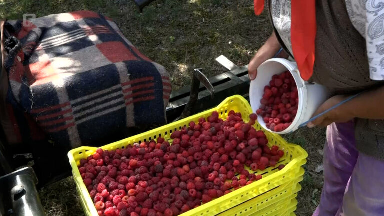 Malinari u SBK-u zadovoljni najavljenom otkupnom cijenom