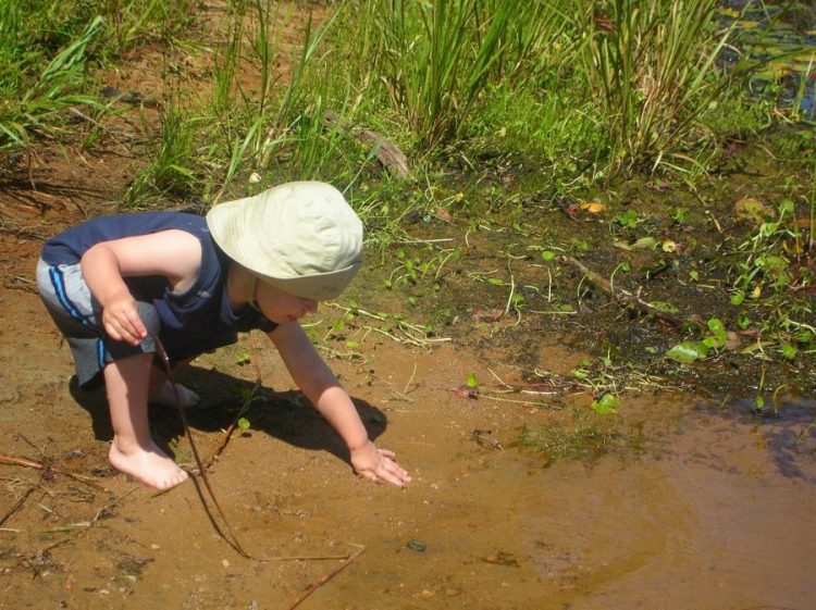 Vrtići postavili mini-šume u dvorištima, imunitet djece odmah poboljšan