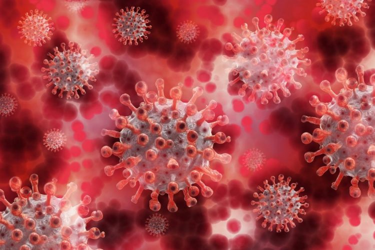 Otkriće američkih naučnika: Koronavirus mijenja funkciju stanica gušterače