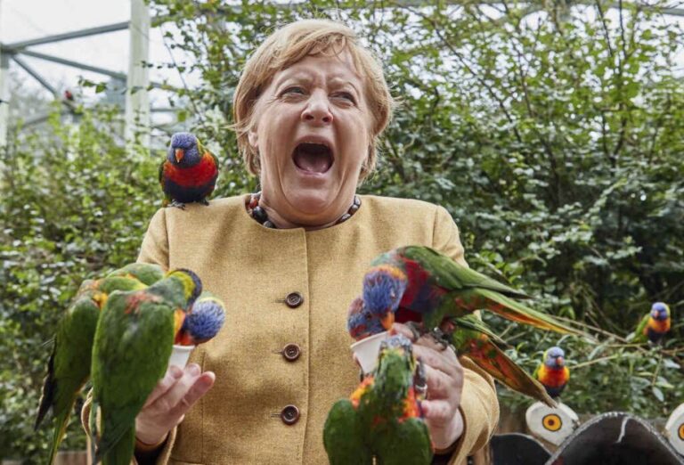 Fotografija koja je obišla svijet: Bolan izraz lica Merkel nakon ujeda papagaja