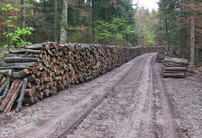 Penzioneri slagani po ko zna koji put: Iako su platili drva, u zimu ulaze bez njih