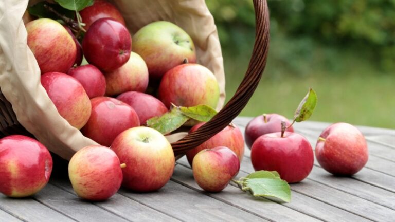 Jabuke vam brzo truhnu: Stručnjak za voće otkrio trikove kako ih čuvati