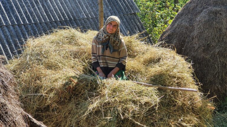 Ljubav je na selu: Dok Mejra sadjeva, Abdulah zabacuje sijeno