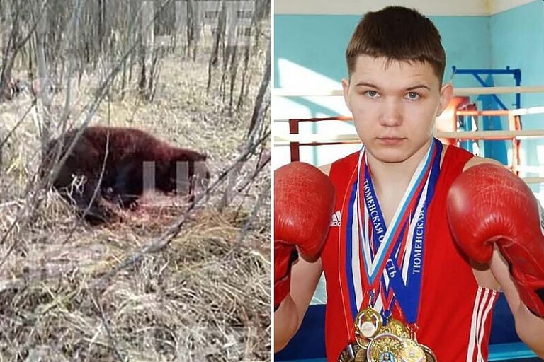 Ruski bokser nožem ubio medvjeda koji ga je teško ranio u napadu u šumi