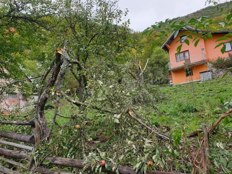 Pogledajte kakav haos je napravio medvjed na imanju u BiH (VIDEO)