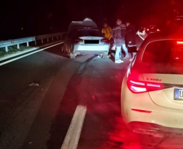 Učestale nesreće zbog divljih svinja na autoputu, šta kažu iz Autocesta FBiH