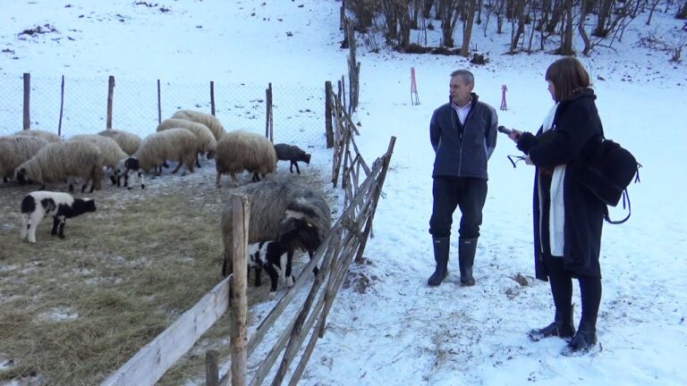 “Sam sam 25 godina, da mi je kakvu družicu samo za “po kući”!” (VIDEO)