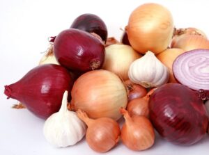 1643278256 onions gcfcc71f7c 1920 750x557 1