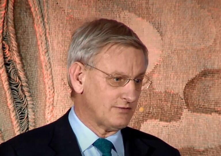 Bildt: Ova godina će nesumnjivo biti politički burna za BiH