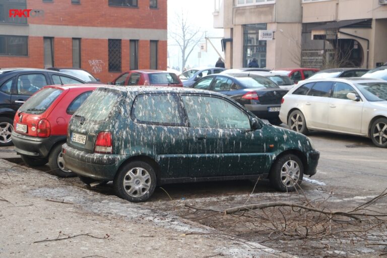 Ulice bh. grada preplavljene ptičijim izmetom