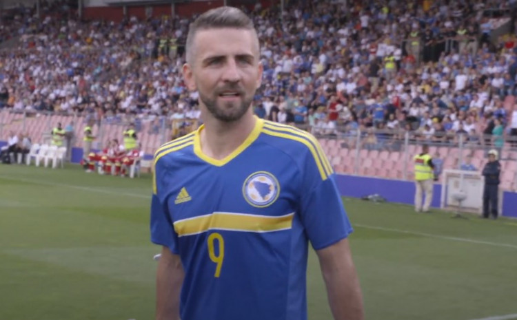 ibisevic