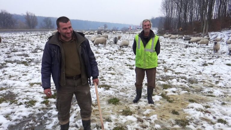 ”Da idem negdje radit’ za 500 maraka, neću! Boljeg posla u Bosni nema!”