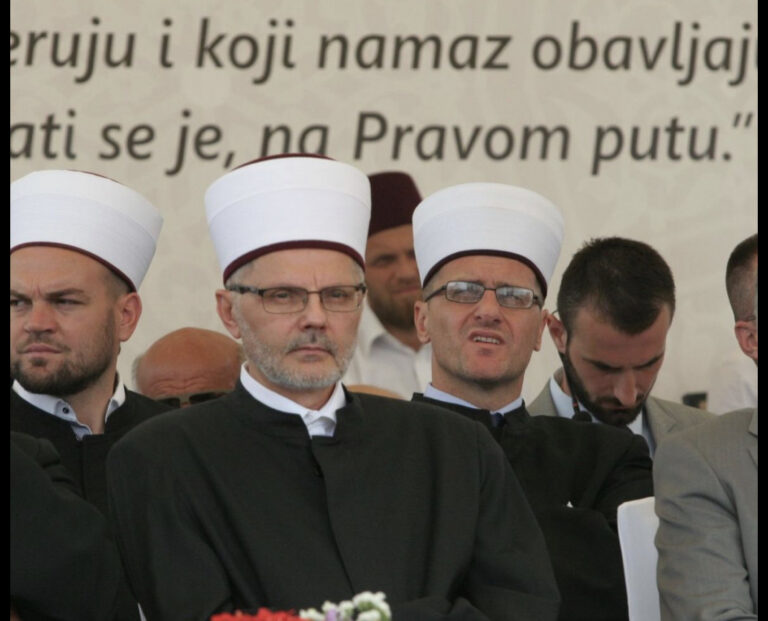 Oglasili se iz IZ BiH: Je li muslimanima dozvoljeno da im se presadi srce svinje 