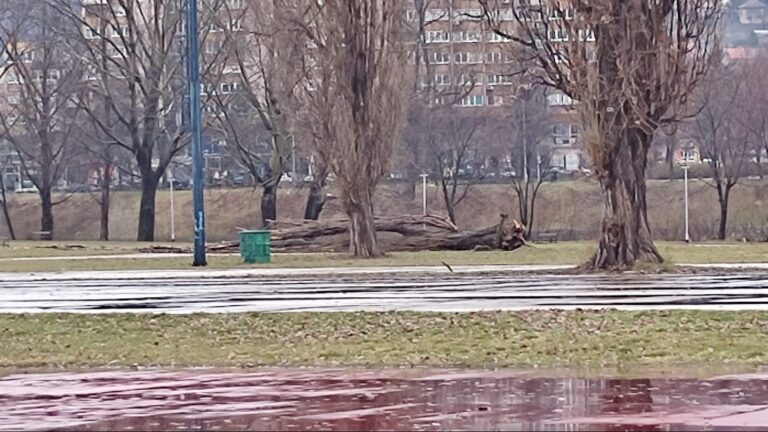 Snažan vjetar iščupao stablo u Zenici, odnio krov kuće