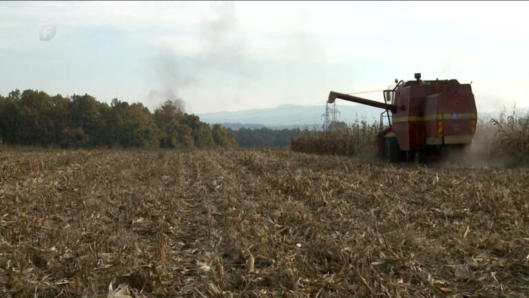 Farmeri ne pamte da je sjetva bila skuplja, a cijene njihovih proizvoda jeftinije