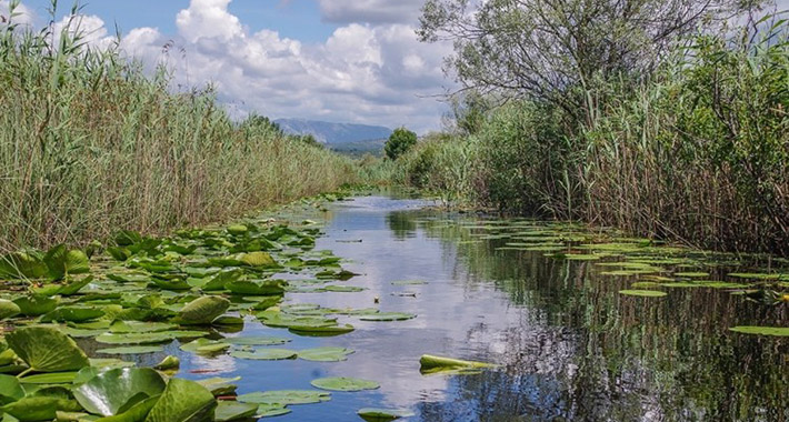 hutovo blato