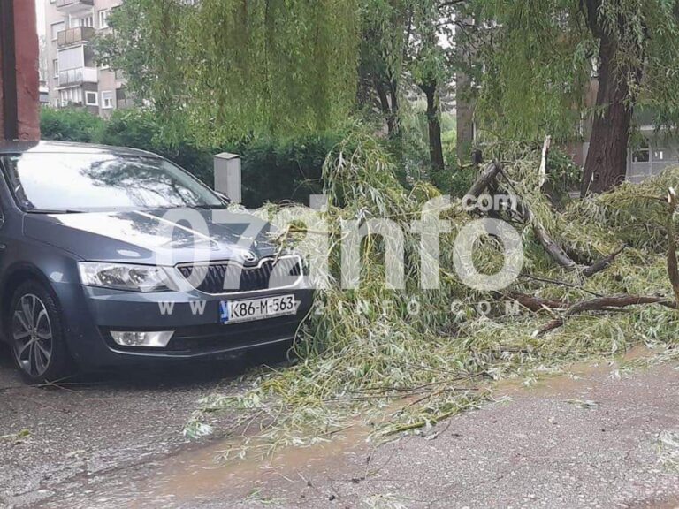 NEVRIJEME U ZENICI: Drvo palo na automobil