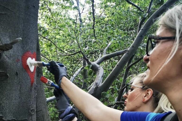 Članovi udruženja “Azimuth 135” označili dvije staze na Smetovima