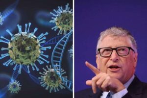 virus bill gates