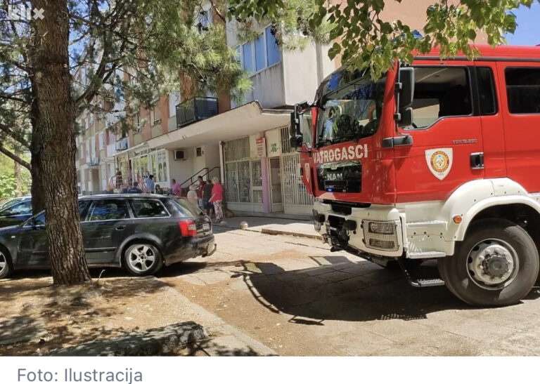 Vatrogasci pola sata izvlačili zmiju ispod haube automobila