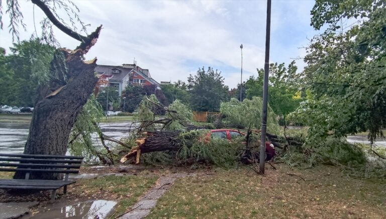 Jako nevrijeme obaralo drveće i nosilo ljetne bašte