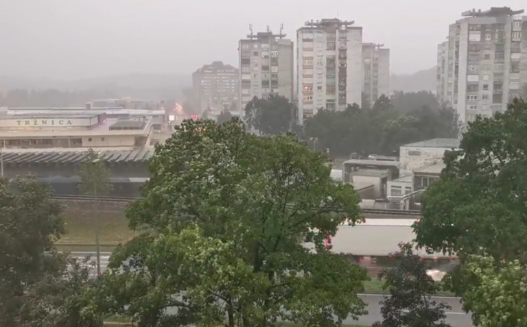 Snažno nevrijeme: Drvo palo na auto