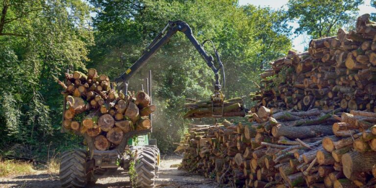 Aktiviranje plana za suzbijanje šumskih krađa na području ZDK