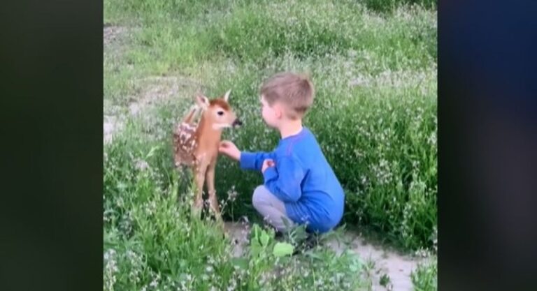 Video koji će vam izmamiti osmijeh: Pogledajte susret laneta i dječaka