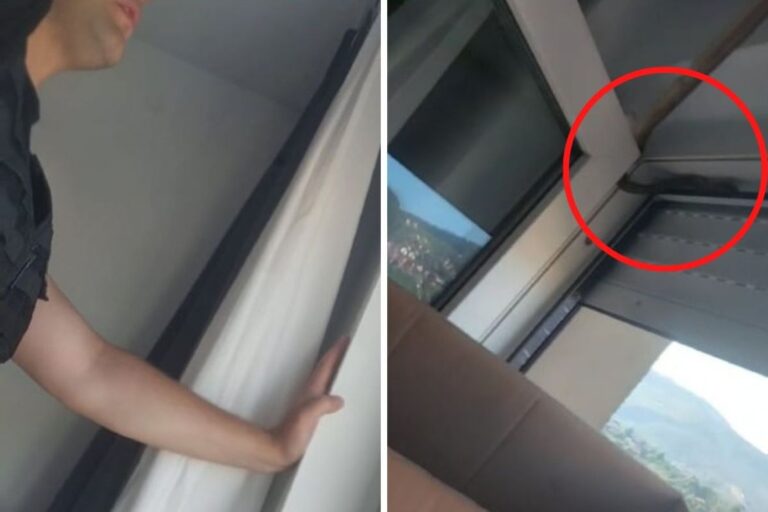 Drama u BiH: Policajci “golim” rukama uhvatili zmiju u stanu!