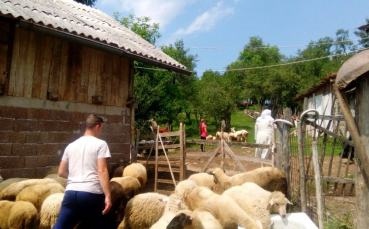 Islamska zajednica u BiH organizuje akciju otkupa kurbana od povratnika