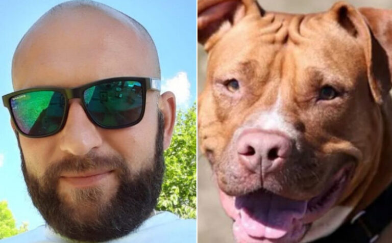 Nenad Aleksić, koji je usmrtio psa: Pit bull mi je napao devetogodišnjeg sina, to se desilo u huji