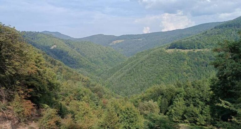 Spasioci na Tajanu locirali izgubljenog planinara