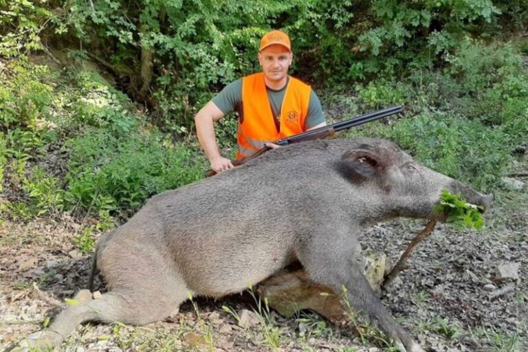 Odstrijelio zvijer tešku 150 kg: Vepar mjesecima pravio štetu 