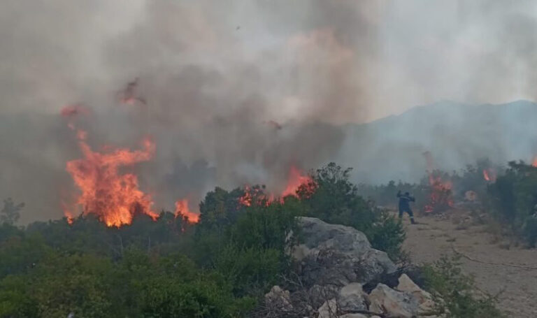 Načelnik Neuma: Scene su apokaliptične, požar nije pod kontrolom. Čekamo helikoptere