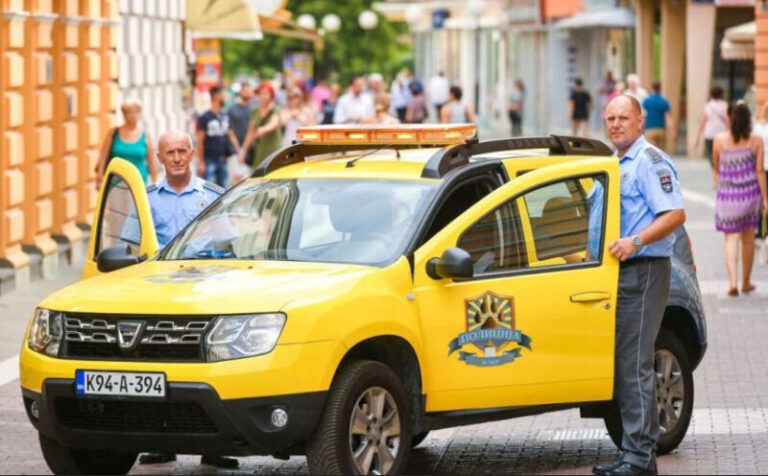 Grad u BiH dobio policiju za pse: Evo šta će raditi