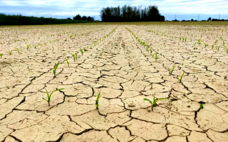 Naučnici najavaili: Klimatske promjene mogle bi imati razoran učinak na istočno Sredozemlje 